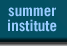 summer institute
