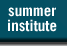 summer institute